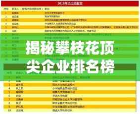 揭秘攀枝花顶尖企业排名榜,最新榜单揭晓!