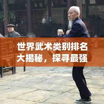 世界武术类别排名大揭秘,探寻最强武术流派!