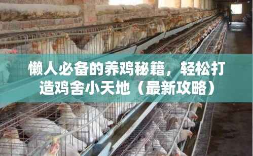 懒人必备的养鸡秘籍,轻松打造鸡舍小天地(最新攻略)