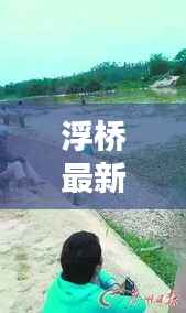 浮桥最新动态报道,今日消息更新速递