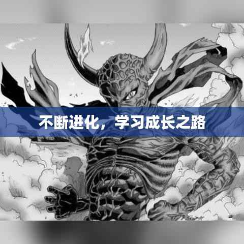 不断进化,学习成长之路