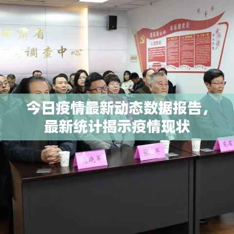 今日疫情最新动态数据报告,最新统计揭示疫情现状