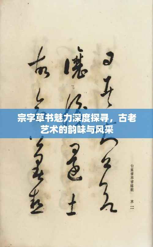 宗字草书魅力深度探寻,古老艺术的韵味与风采