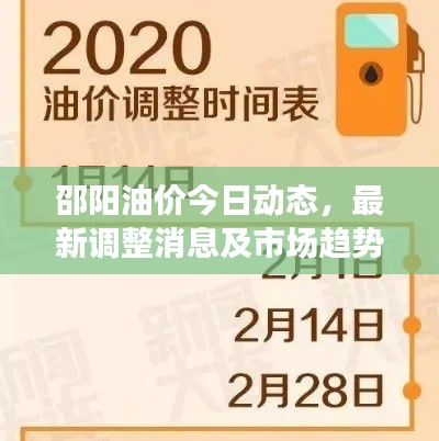 邵阳油价今日动态,最新调整消息及市场趋势深度解析