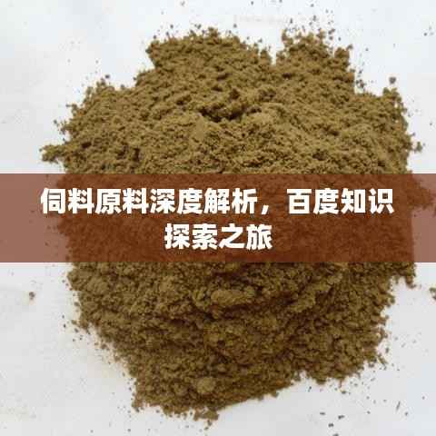 伺料原料深度解析,百度知识探索之旅