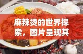麻辣烫的世界探索,图片呈现其独特魅力